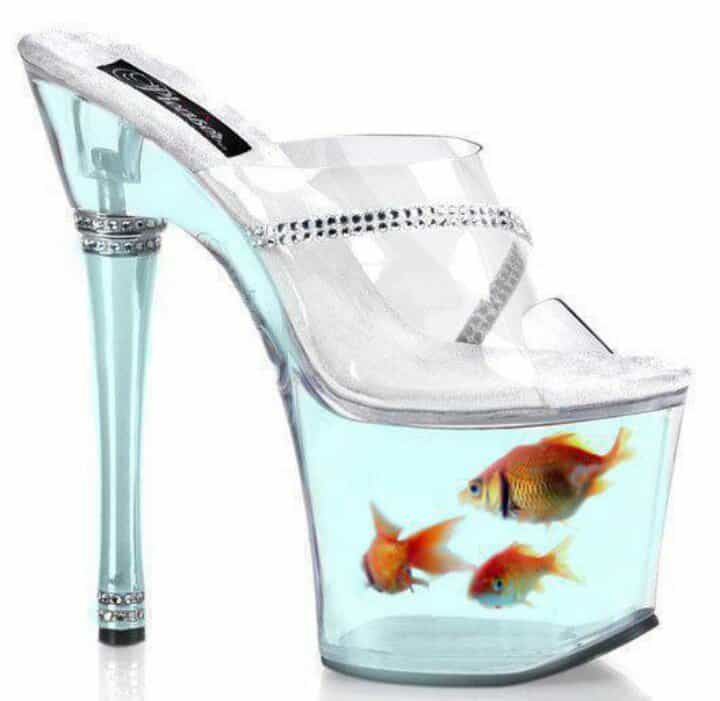 Fish Shoes \u0026 Goldfish Heels: 10 Most 