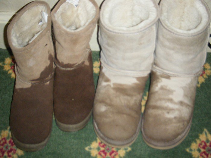 Dry Uggs That Got Wet in the Rain