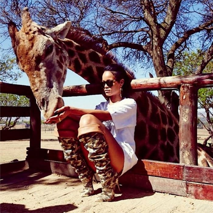 Validering helgen landdistrikterne Rihanna in River Island Camouflage Thigh-High Boots on African Safari