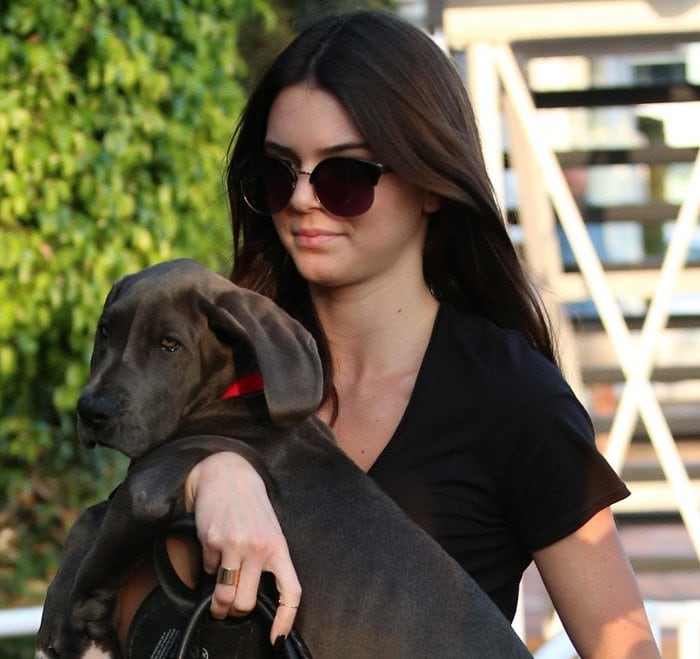 Kendall Jenner Gets Great Dane Dog Blu for 18th Birthday