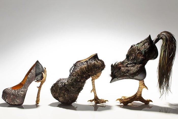 Bird Shoes: Masaya Kushino's Avian 