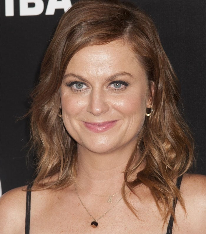 Amy Poehler at the New York premiere of Difficult People