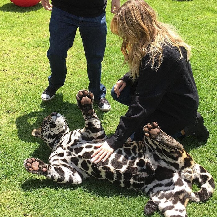 Khloé Kardashian plays with a jaguar at the Black Jaguar White Tiger Foundation in Mexico