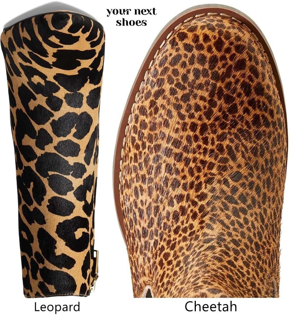 This image compares leopard and cheetah prints: the leopard print (left) has irregular black rosettes, while the cheetah print (right) features evenly spaced solid black spots