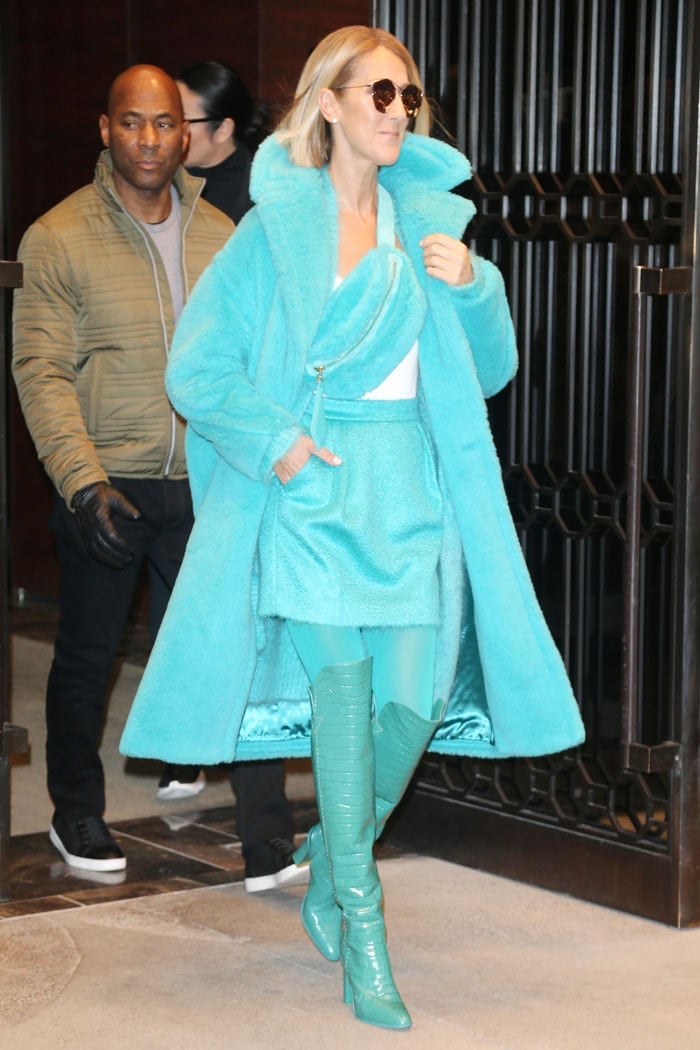 Celine Dion Looks Like Monsters Inc's Sulley in Blue Fur Coat and ...