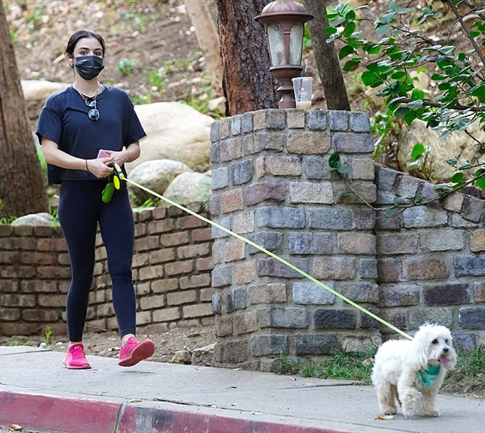 Lucy Hale goes for a hike with her dog, Elvis, in Studio City on January 18, 2021