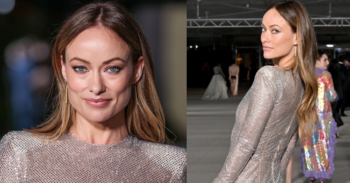 Olivia Wilde Bares Nipples in Sexy Dress Amid Wild Rumors