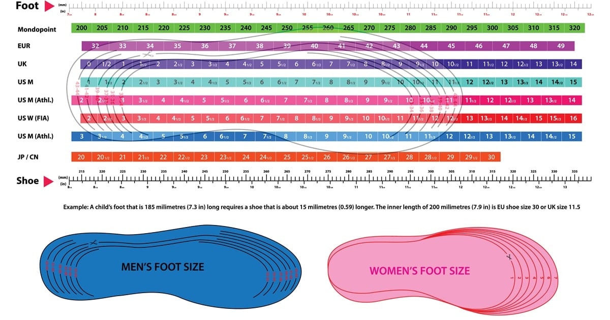 Women's 7 2025 to men's