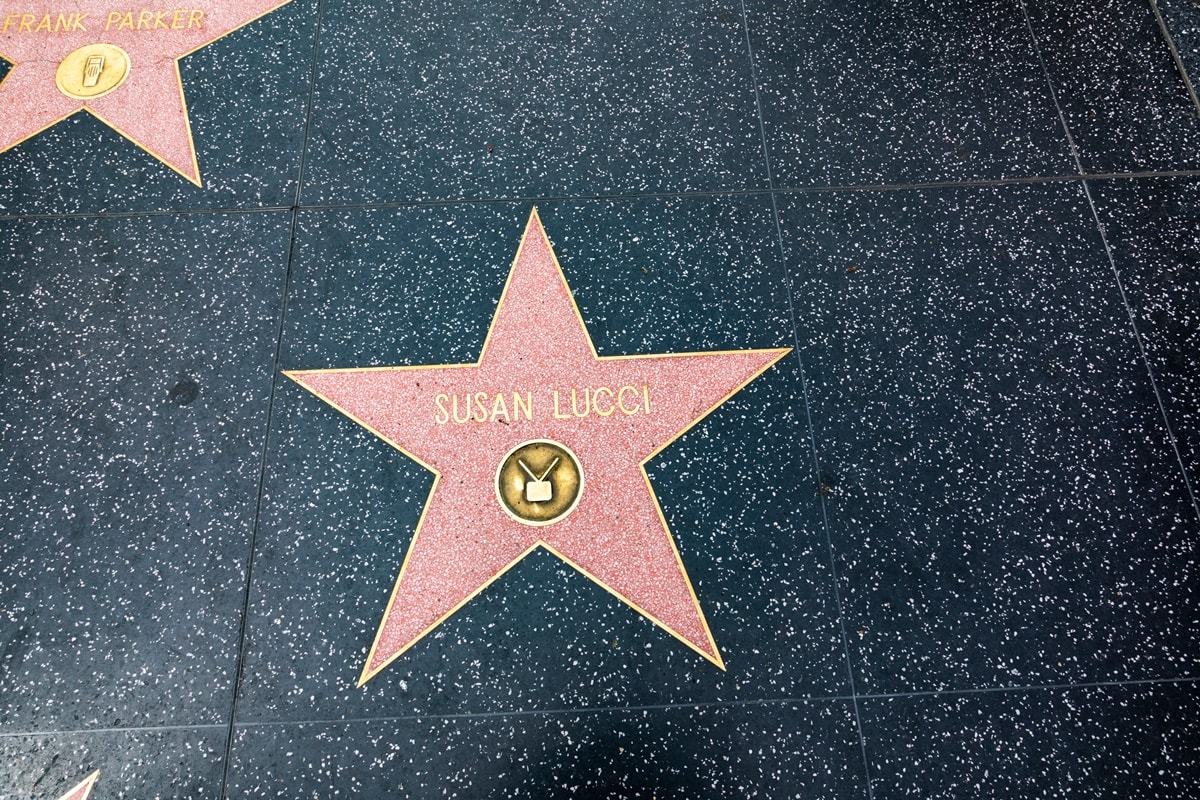 On January 28, 2005, Emmy-winning actress Susan Lucci celebrated her 35th year on the popular daytime drama "All My Children" by receiving the 2,276th star on the Hollywood Walk of Fame during a ceremony in Los Angeles, California