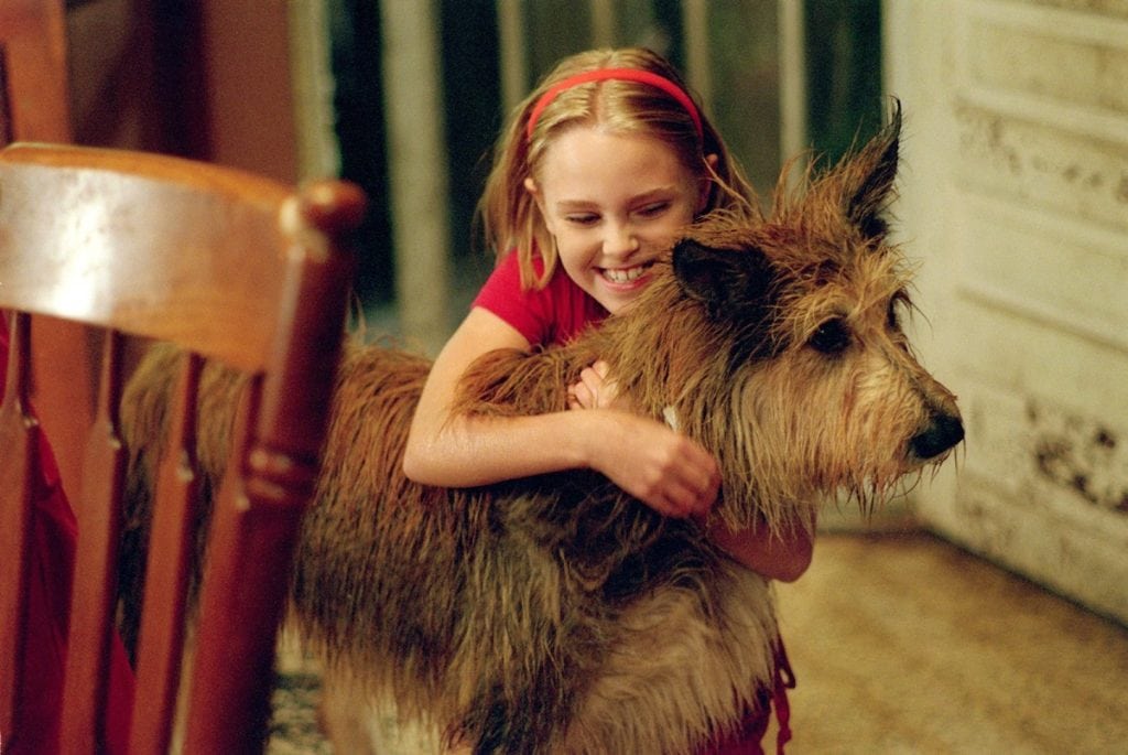 Elle Fanning and AnnaSophia Robb's Ages in Because of Winn-Dixie