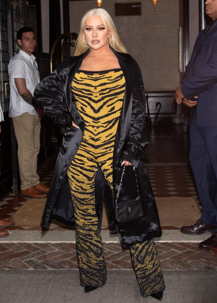 Christina Aguilera Stuns in Tiger Catsuit For Lion King Musical After ...