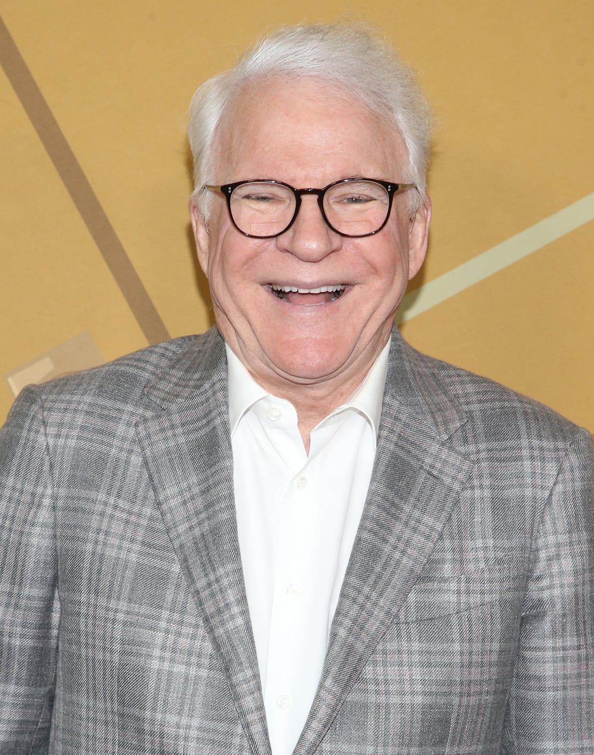 Steve Martin has earned nominations from almost every major award organization, including the Grammy Awards, Tony Awards, Primetime Emmy Awards, and more