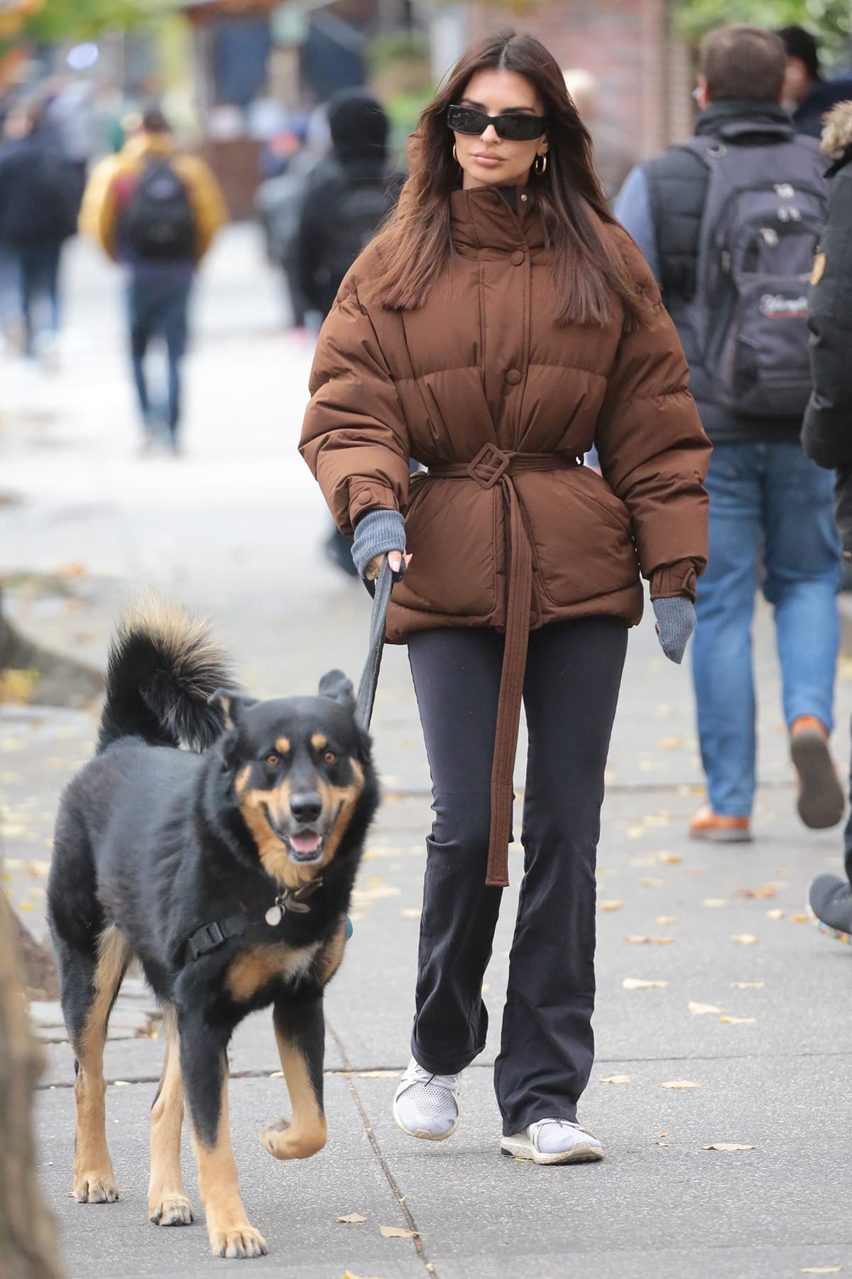 Emily Ratajkowski bundles up in a brown puffer coat, a gray sweater, and black Alo bootcut leggings during a walk with Colombo on November 21, 2023