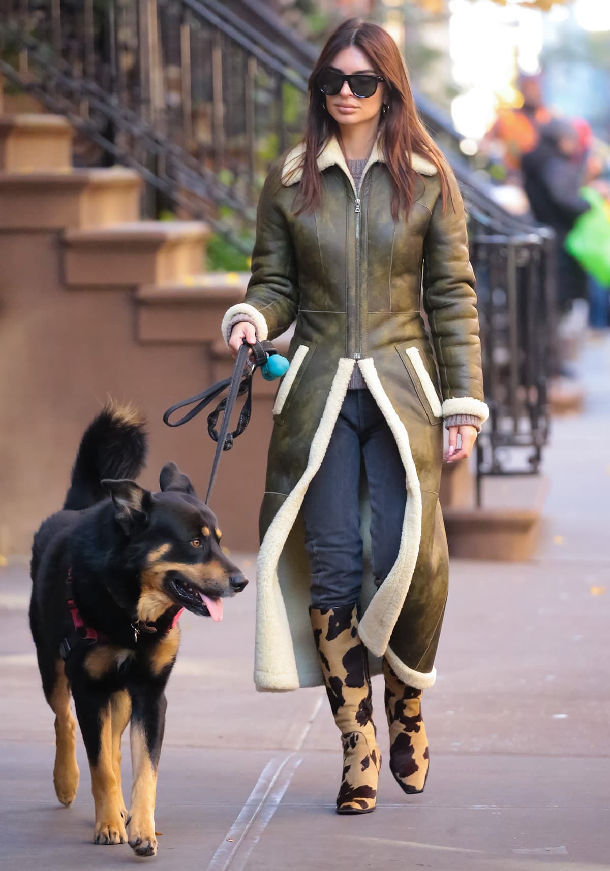 Emily Ratajkowski walks her dog Colombo in a green leather KNWLS coat with cream shearling lining and trims on November 20, 2023